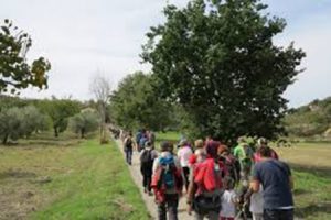 descrizione immagine